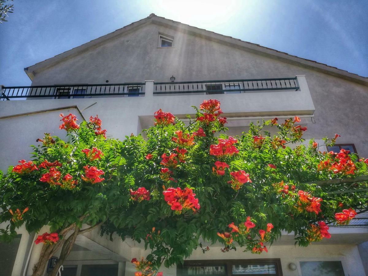 Apartments Jadranka Tučepi エクステリア 写真