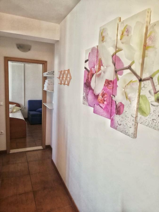 Apartments Jadranka Tučepi エクステリア 写真